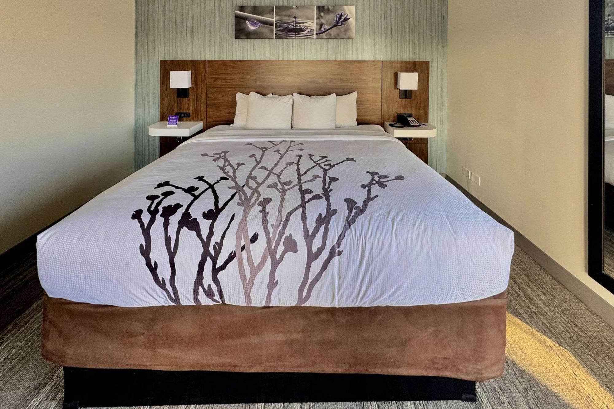 Sleep Inn Oakbrook Terrace - Chicago Eksteriør bilde